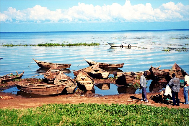 Jezioro Wiktorii Uganda