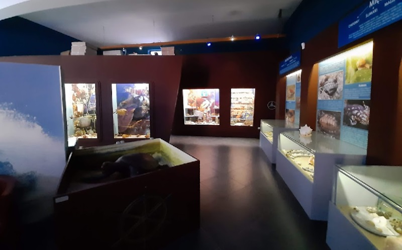 Muzeum Jaworze 6