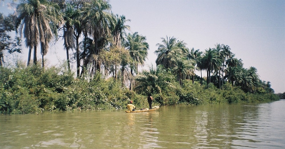 Rzeka Gambia 23