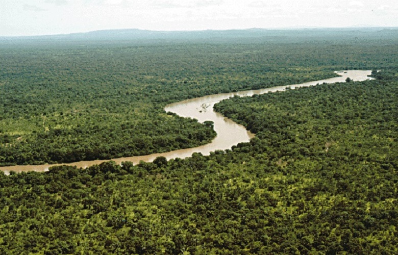 Rzeka Gambia 24