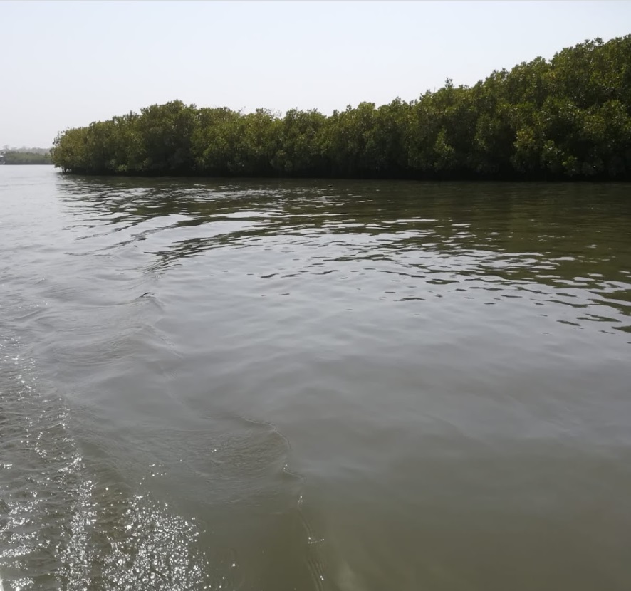 Rzeka Gambia 25
