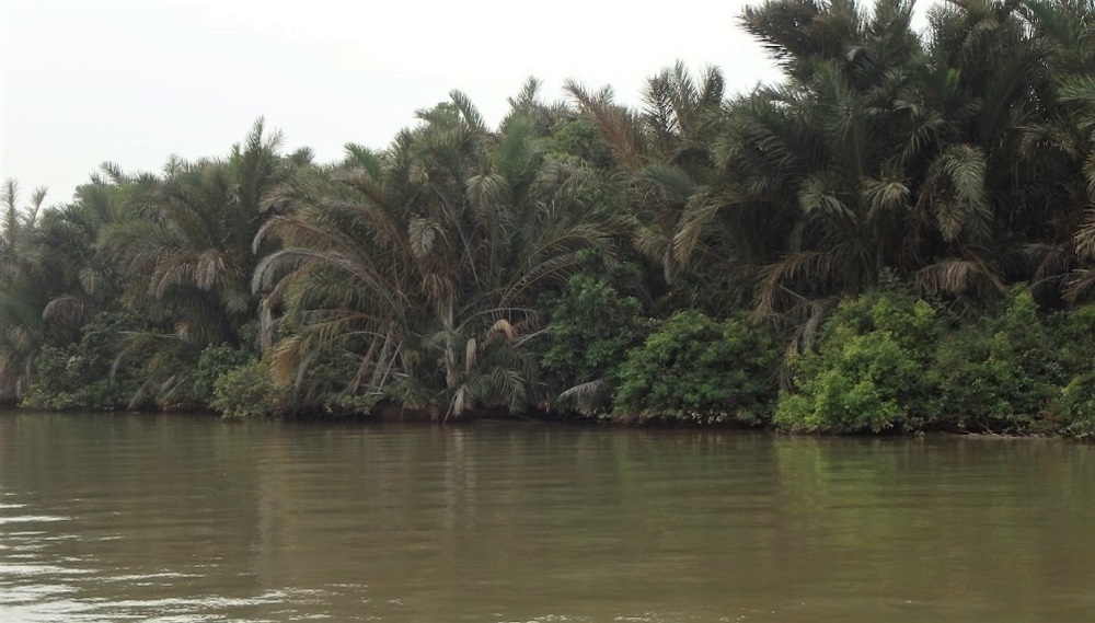 Rzeka Gambia 27