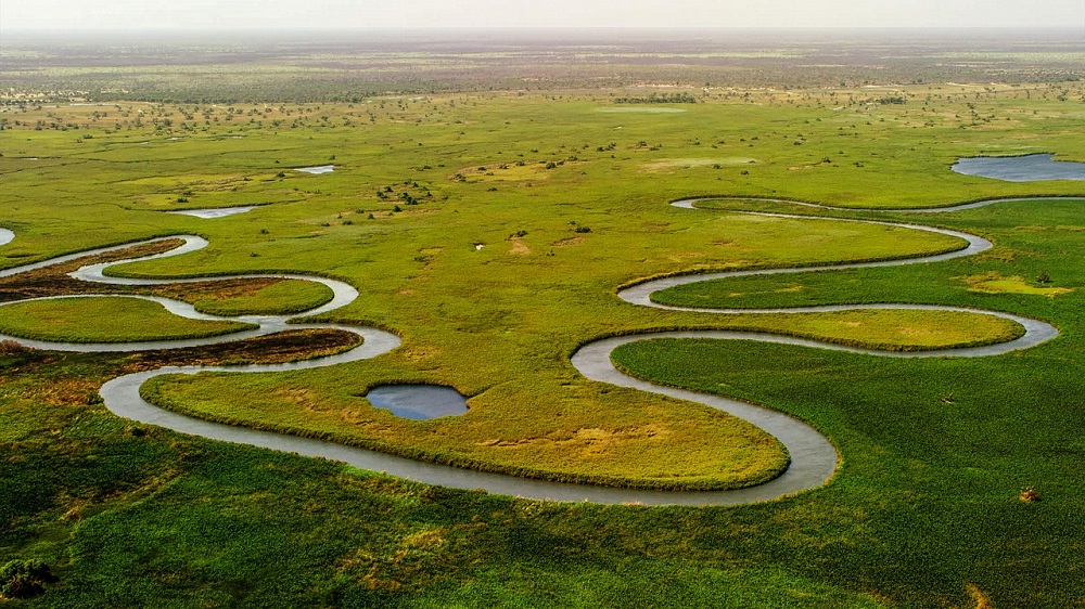 Rzeka Okawango delta