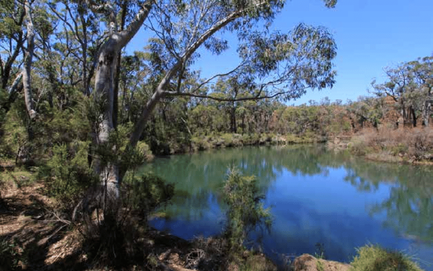 Upper Margaret River near Canebrake Pool This stretch of river houses a number of