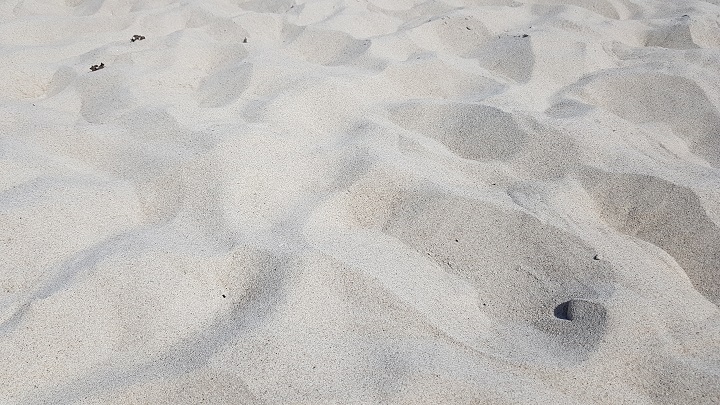 bałtyk plaża piasek 2