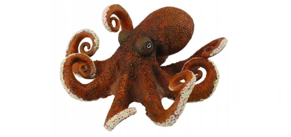 ośmiornica octopus 784