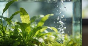 Badanie wody: zakres badań fizykochemicznych i mikrobiologicznych